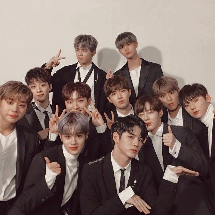 Wanna One Are Back Together Again, Starting With an Mnet Variety Project
