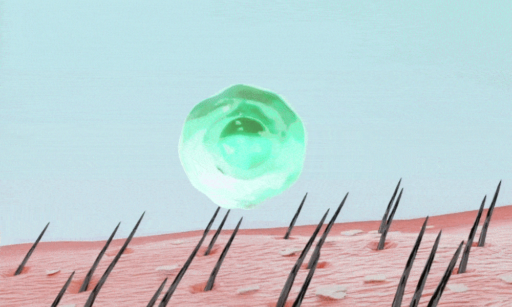 lilyeve Scalp Turn Cica PDRN Brush Ampoule