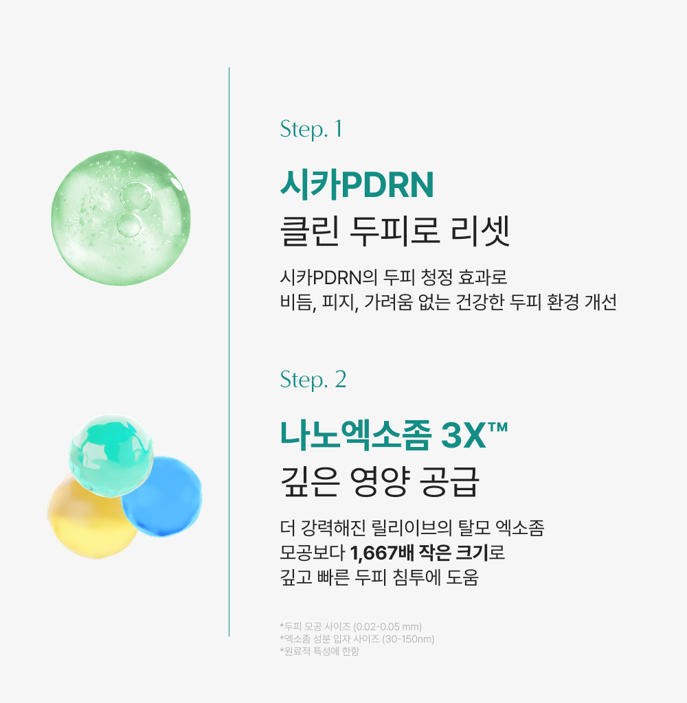 lilyeve Scalp Turn Cica PDRN Brush Ampoule