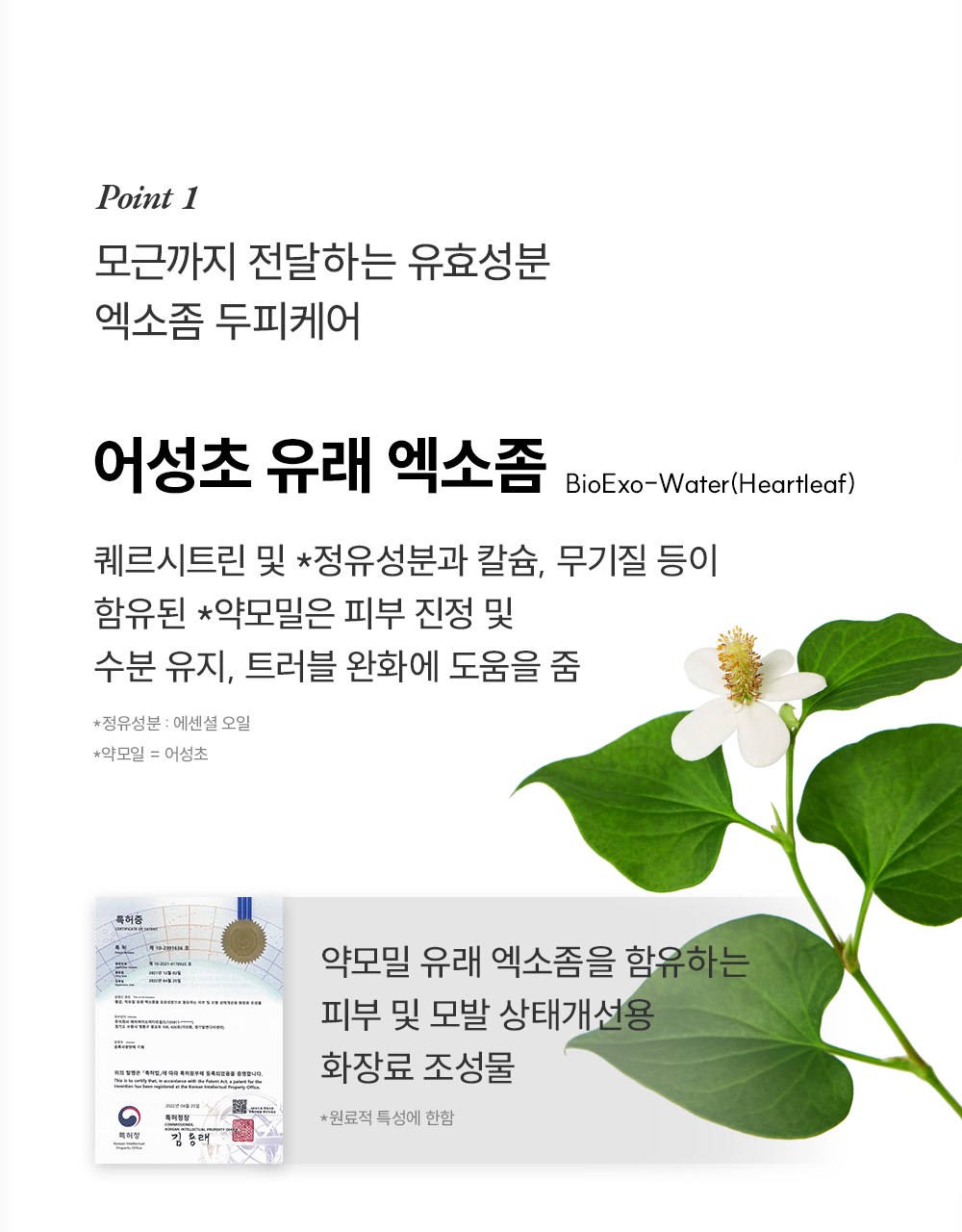 lilyeve Grow Turn Ampoule (Hair Loss Brush Ampoule)