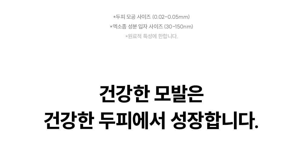 lilyeve Grow Turn Ampoule (Hair Loss Brush Ampoule)