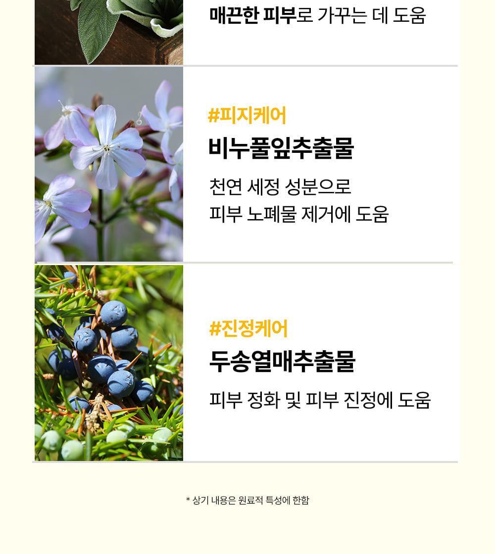 SUNGBOON EDITOR Blackhead Melting Clear Pad