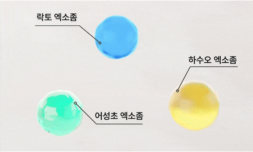 lilyeve Scalp Turn Cica PDRN Brush Ampoule