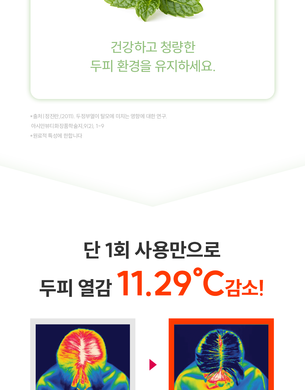 lilyeve Grow Turn Ampoule (Hair Loss Brush Ampoule)