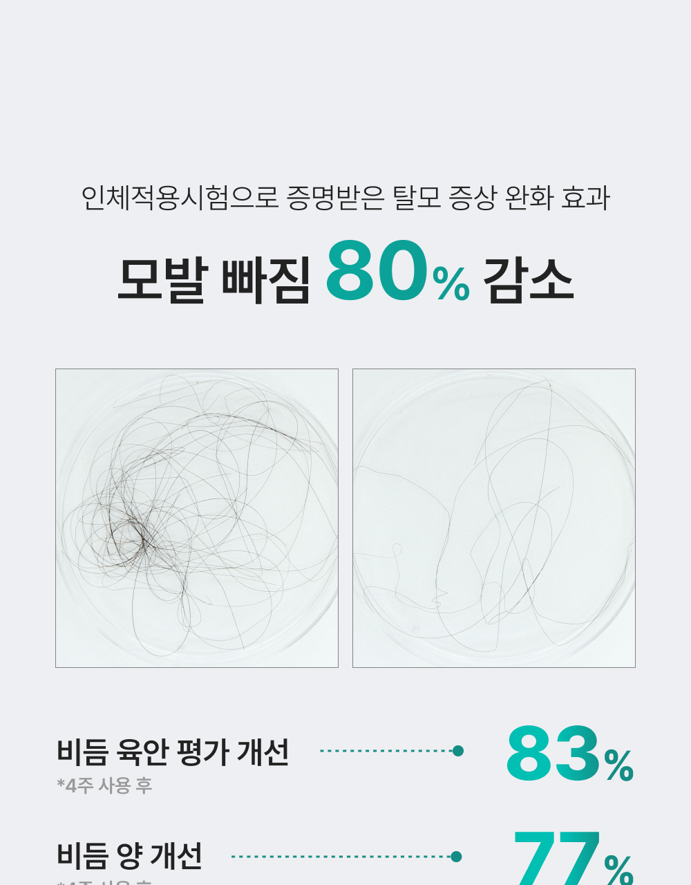 lilyeve Scalp Turn Cica PDRN Brush Ampoule