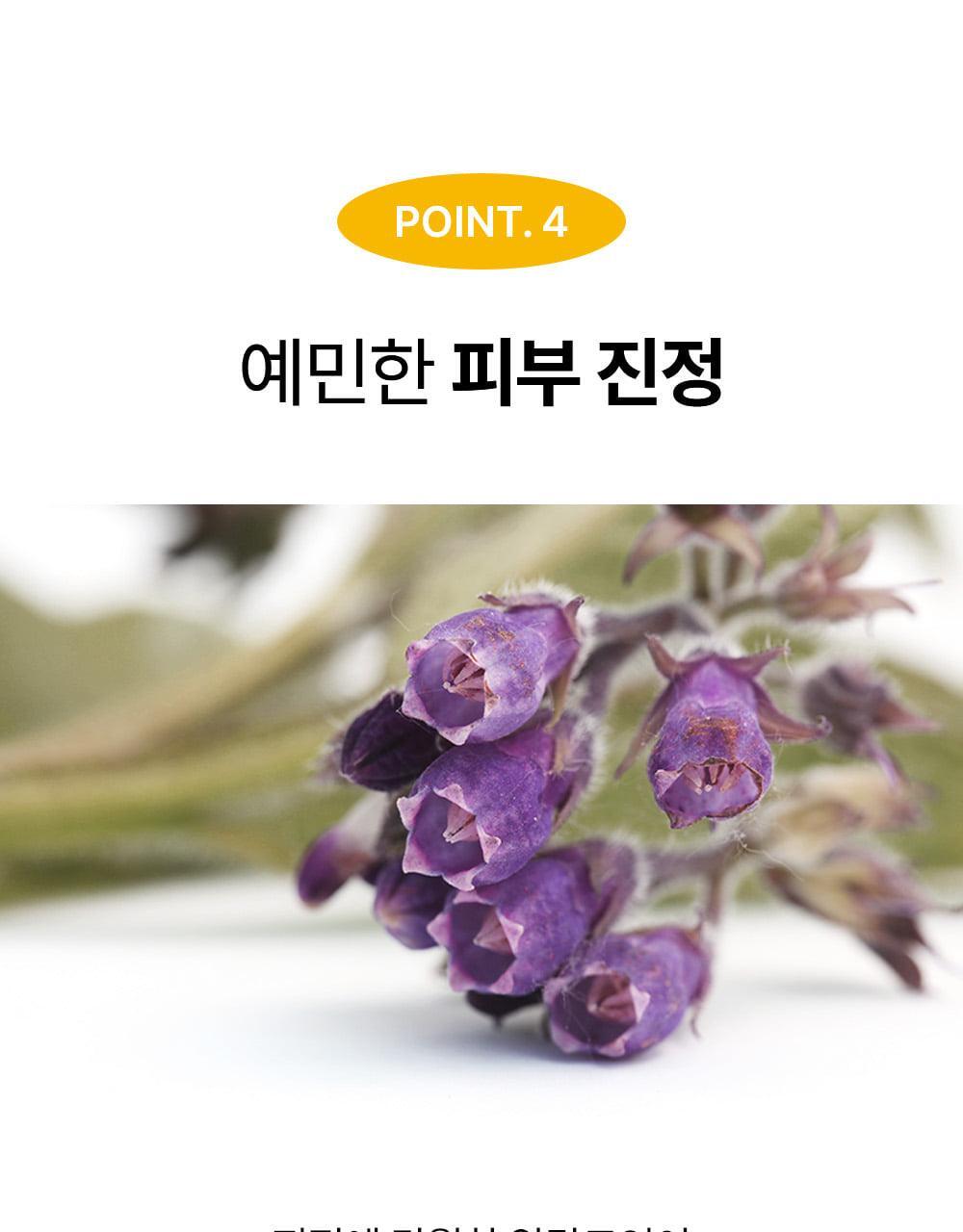 SUNGBOON EDITOR Blackhead Melting Clear Pad