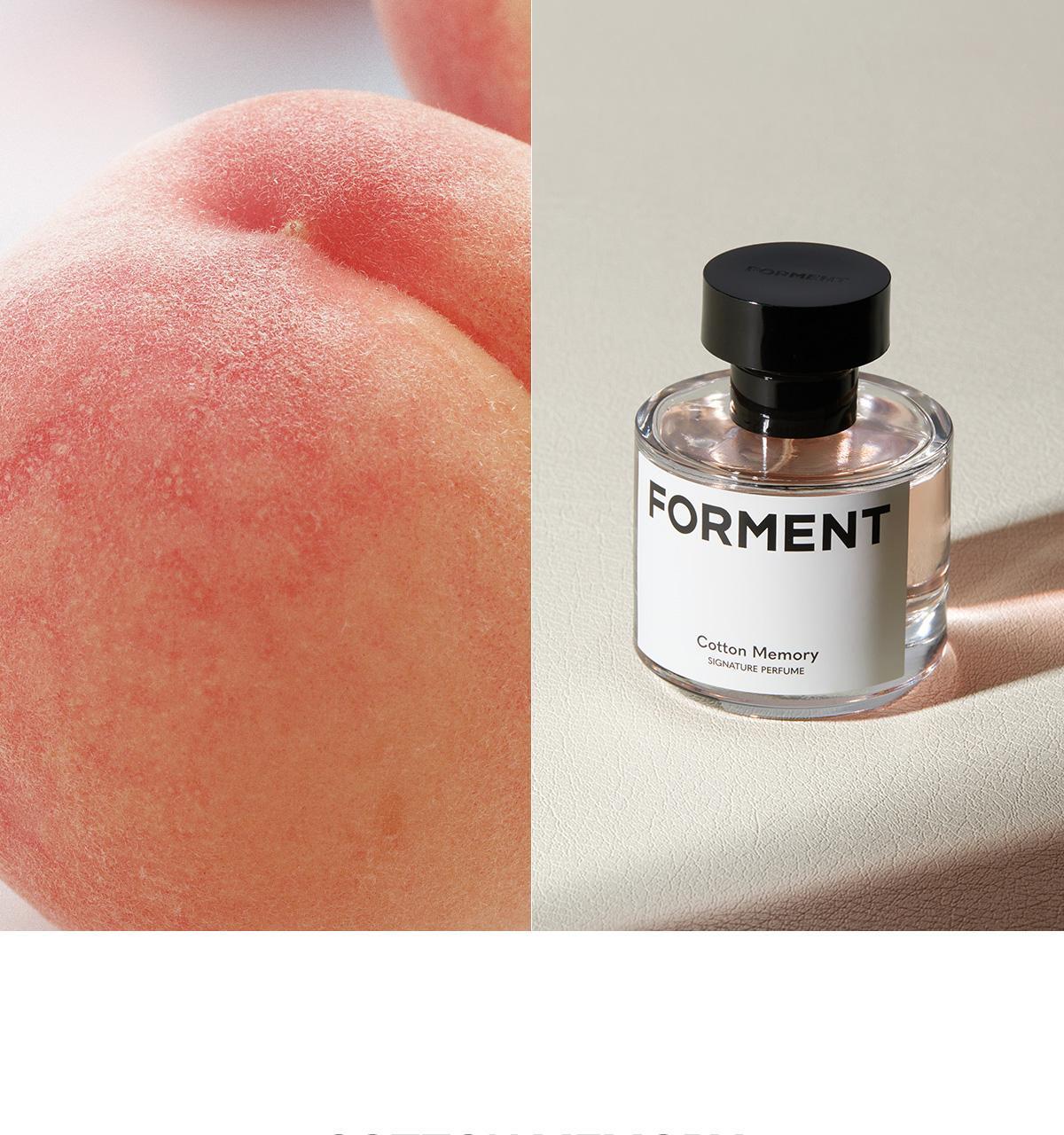 FORMENT - Signature Perfume Cotton Memory (30ml / 50ml) (PARK JIHOON's Pick)