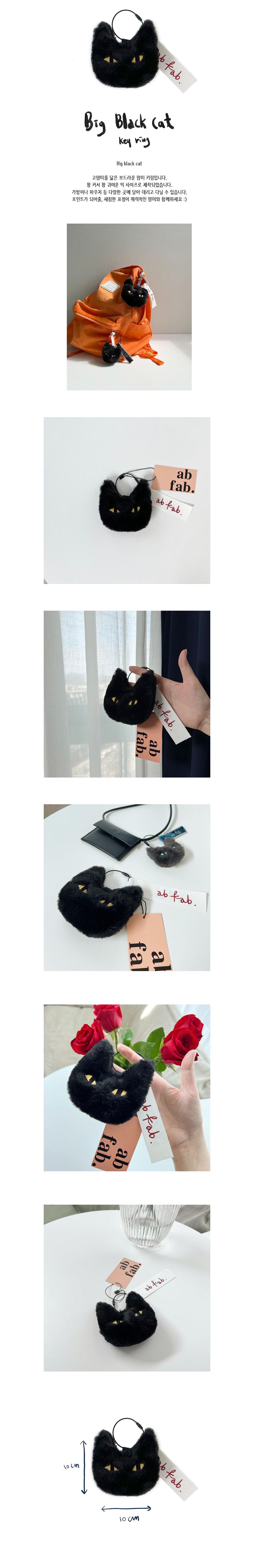 AB FAB Black Cat Keychain (BTS SUGA's Pick)
