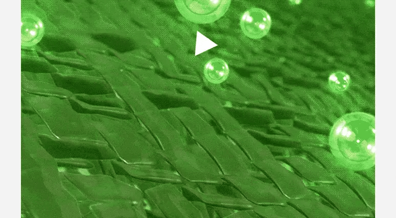 VUDE - Ultra-Low Molecular Diva Shot (Pore Care Beauty Device)