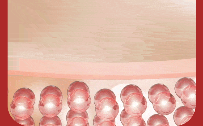 ALIGNLAB Leffit V Band-Type Massager (V-Line & Lifting & Firming)