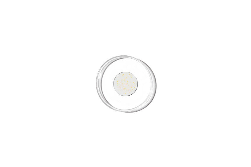 Genabelle PDRN Vita Toning Ampoule