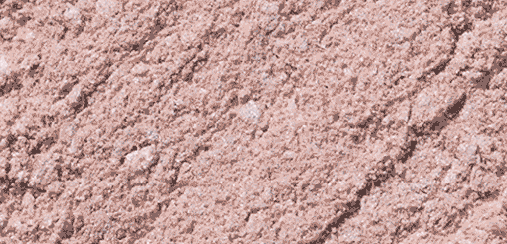 TONYMOLY - Eye Tone Donut Eyeshadow Palette (Zootopia Edition)