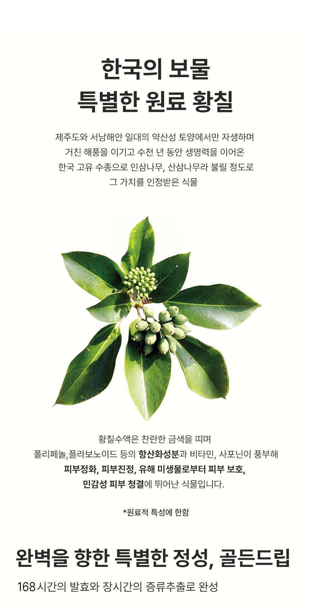 REBECOCO - Golden Drip Phyto-Thera Toning Essence