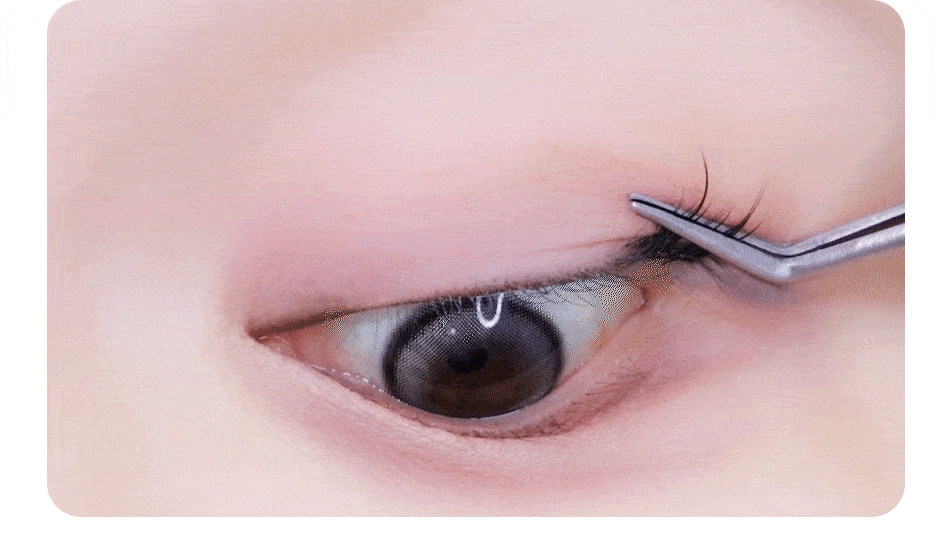 CORINGCO - TOKTOKHARA No Glue Eyelash