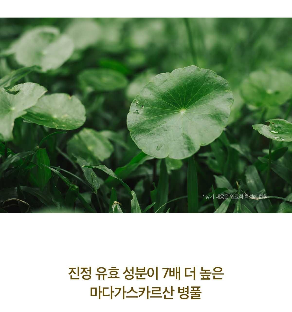 SKIN1004 Madagascar Centella Ampoule 55ml