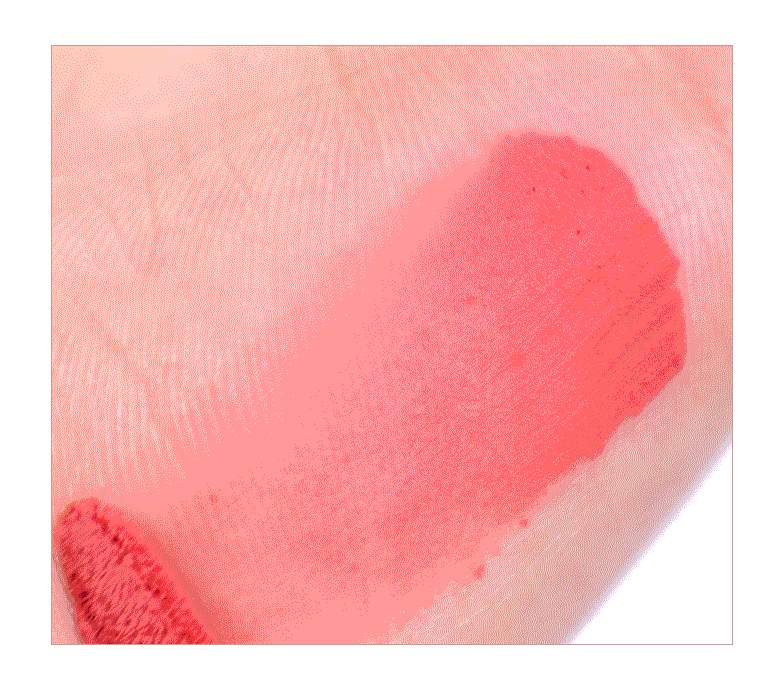 COLORGRAM Nude Blur Tint (Zanmang Loopy Edition)