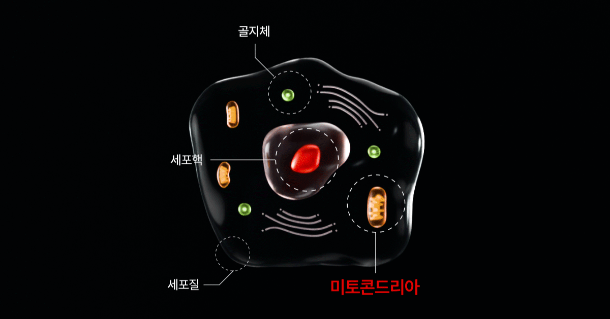 makeON - ONFACE LED Mask (Firming & Brightening Care) [New Launch!]
