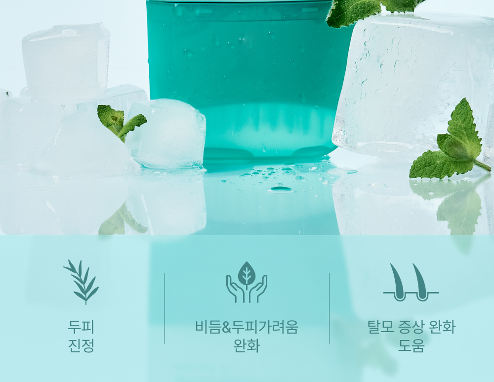 lilyeve Scalp Turn Cica PDRN Brush Ampoule