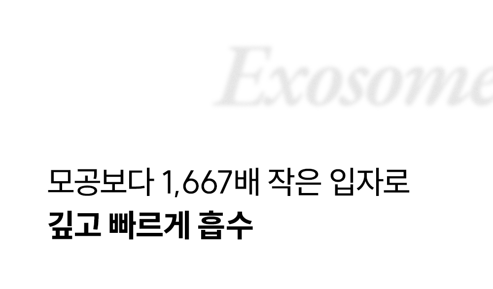 lilyeve Grow Turn Ampoule (Hair Loss Brush Ampoule)