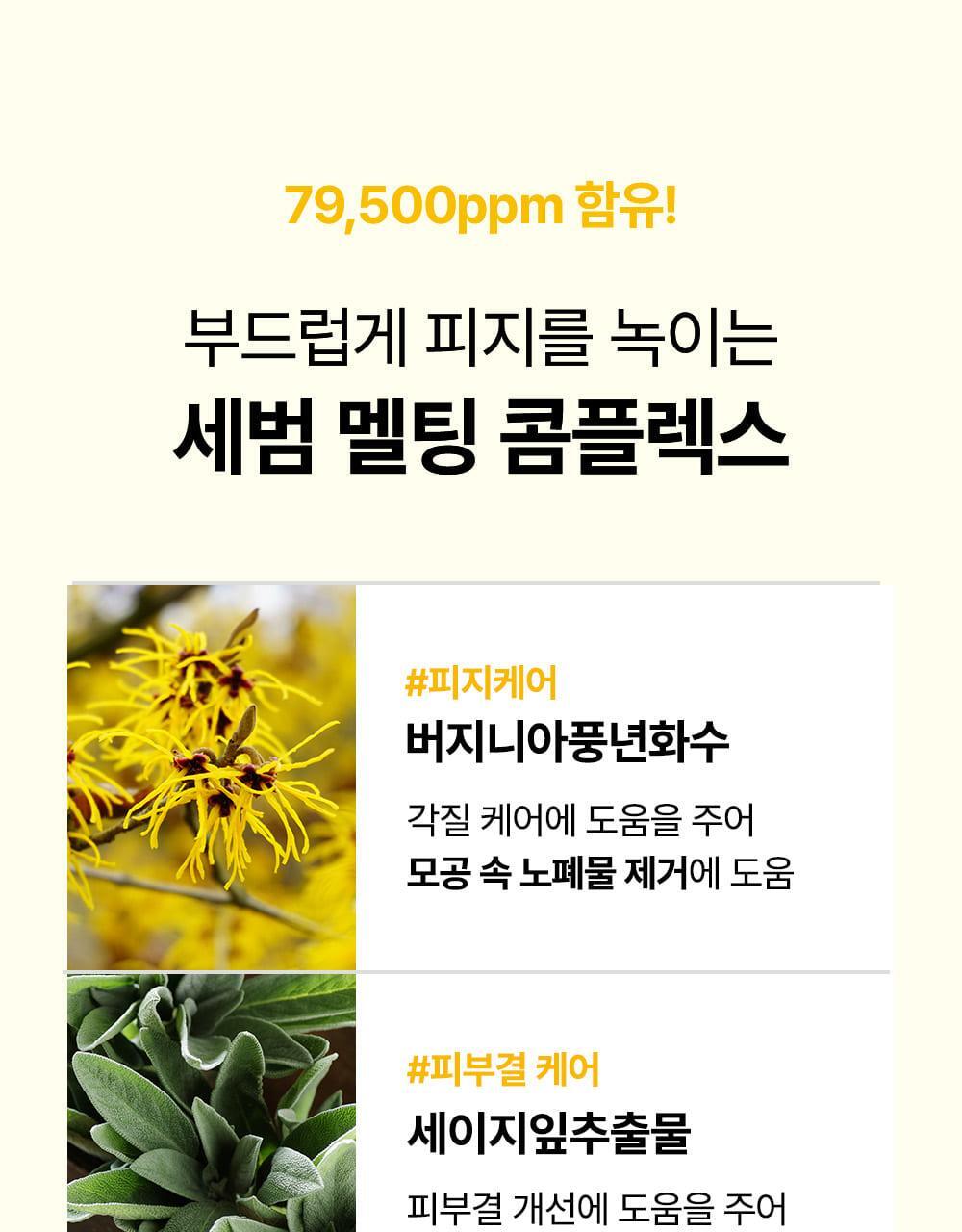 SUNGBOON EDITOR Blackhead Melting Clear Pad