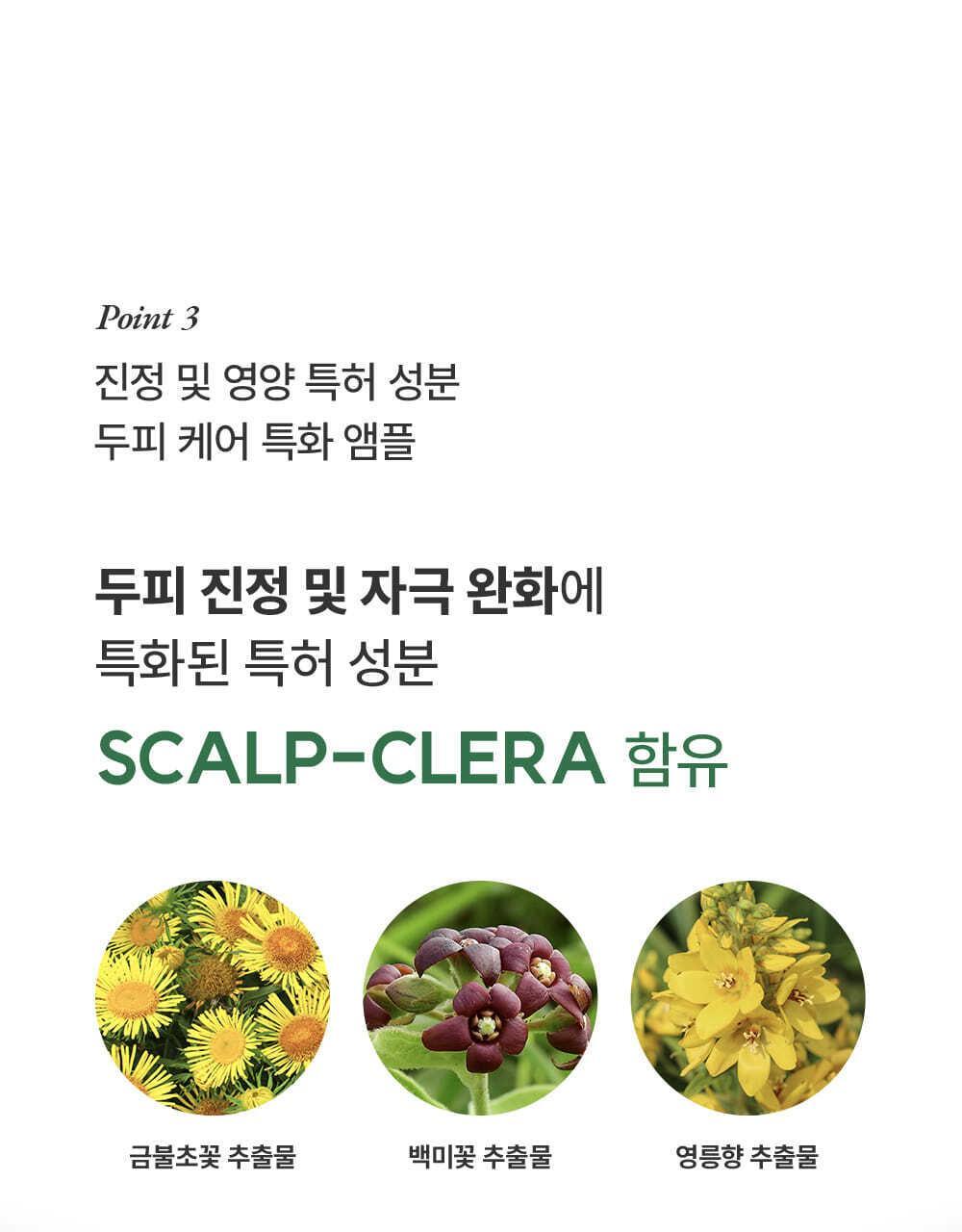 lilyeve Grow Turn Ampoule (Hair Loss Brush Ampoule)