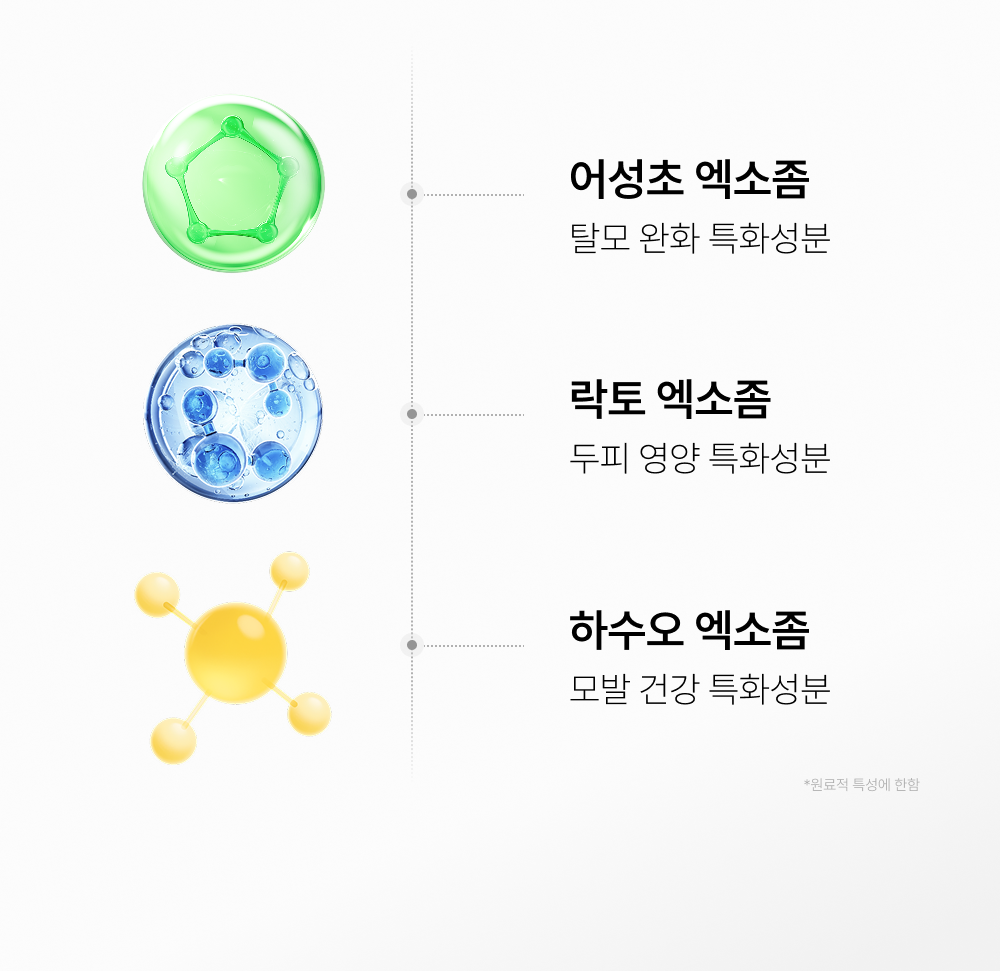 lilyeve Scalp Turn Cica PDRN Brush Ampoule