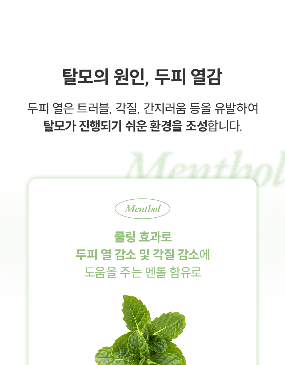 lilyeve Grow Turn Ampoule (Hair Loss Brush Ampoule)