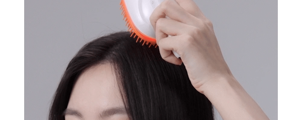[lilyeve] - GrowTurn Brush Steam Booster
