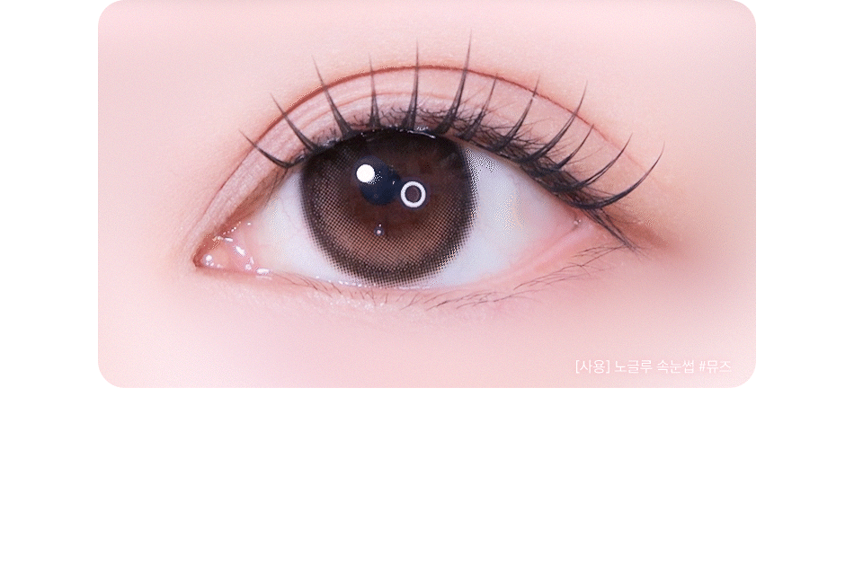 CORINGCO - TOKTOKHARA No Glue Eyelash
