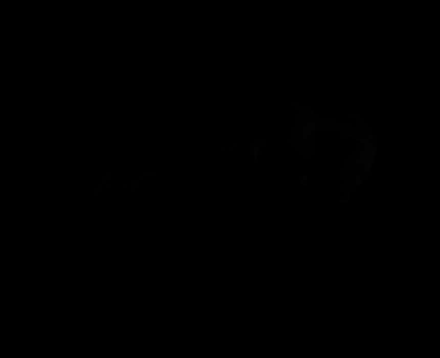 LA PITTA Bluing Rolling Stone Calf Massager [2025 NEW]