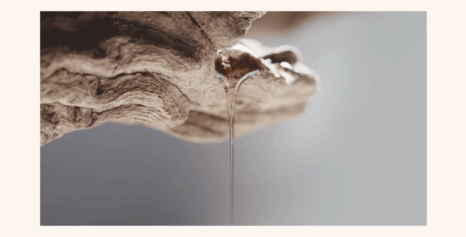 Mastic Mastic - White Mastic Foam Cleanser