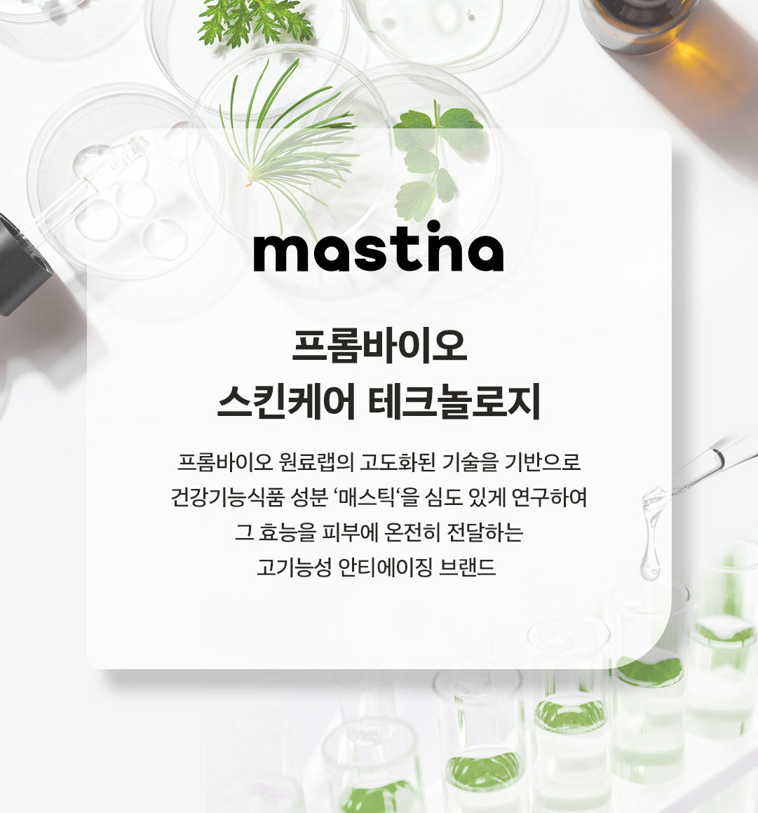 Mastic Mastic - White Mastic Foam Cleanser