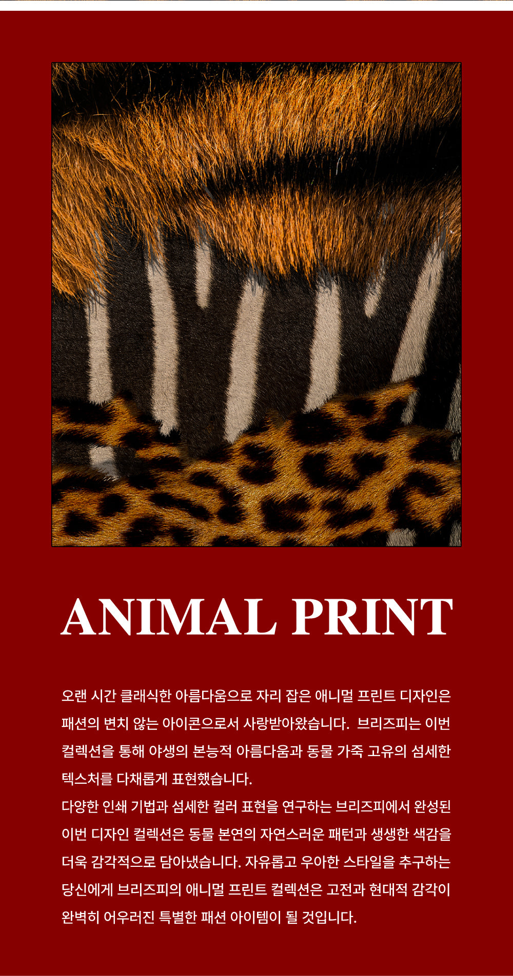 Breezfy - Leopard MagSafe iPhone Case - Graphite Frame (Stray Kids I.N Wear)