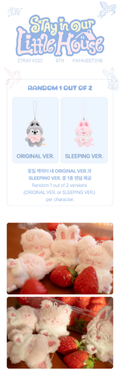 Stray Kids - STAY in Our Little House SKZOO Secret Plush Micro Ver. (Pre-Order)