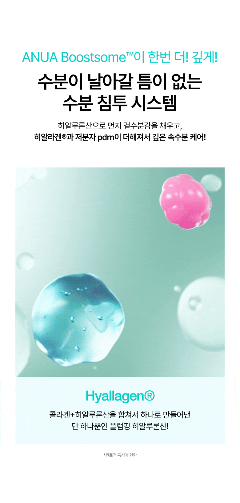 Anua - PDDRN 100 Hyaluronic Acid Booster Toner 250ml (+40ml)