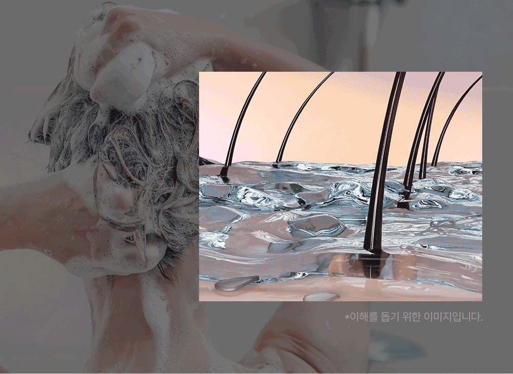 COSMÖD:LAB - Exsolute Shampoo